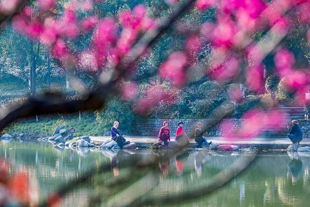 逃离地下古寺庙2