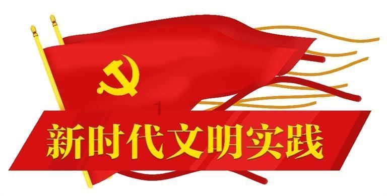 完美的收藏品