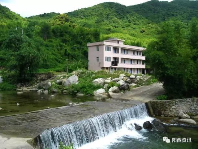 钢岚:炮姐一号肖妮全玩法攻略!是否是山中无老虎猴子当大王呢?