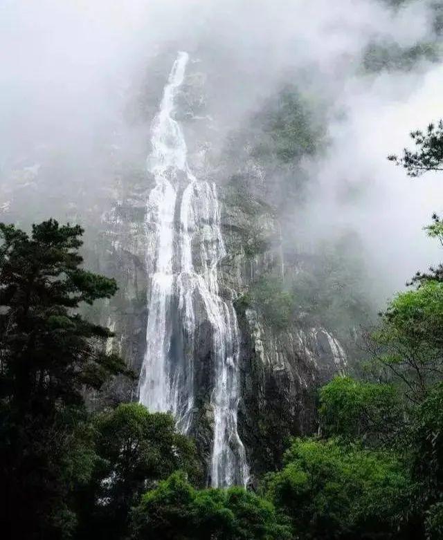 拯救巧虎4