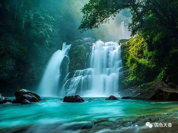 了解12生肖的真实来历是怎么样的? 知识星球,提升你的知识品质