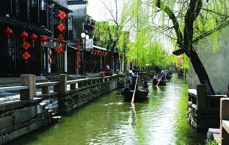 救援受困的长颈鹿