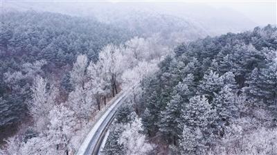 2023红毯十大“冥”场面，姚晨睡衣配秋裤，黄奕怪，段奕宏不敢认